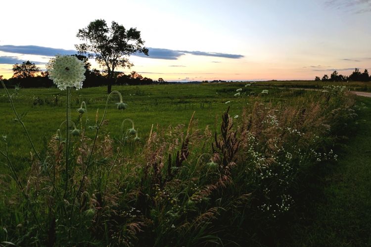 Cottage Grove, WI Homes for Sale and Realtors