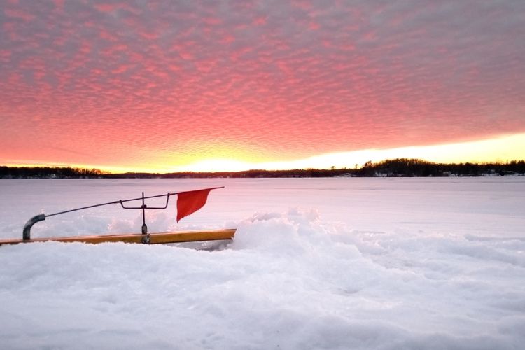 Mount Horeb, WI Homes for Sale & Real Estate